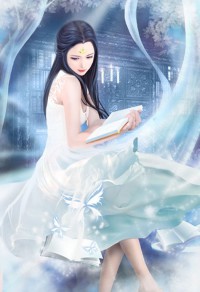 总裁与律师